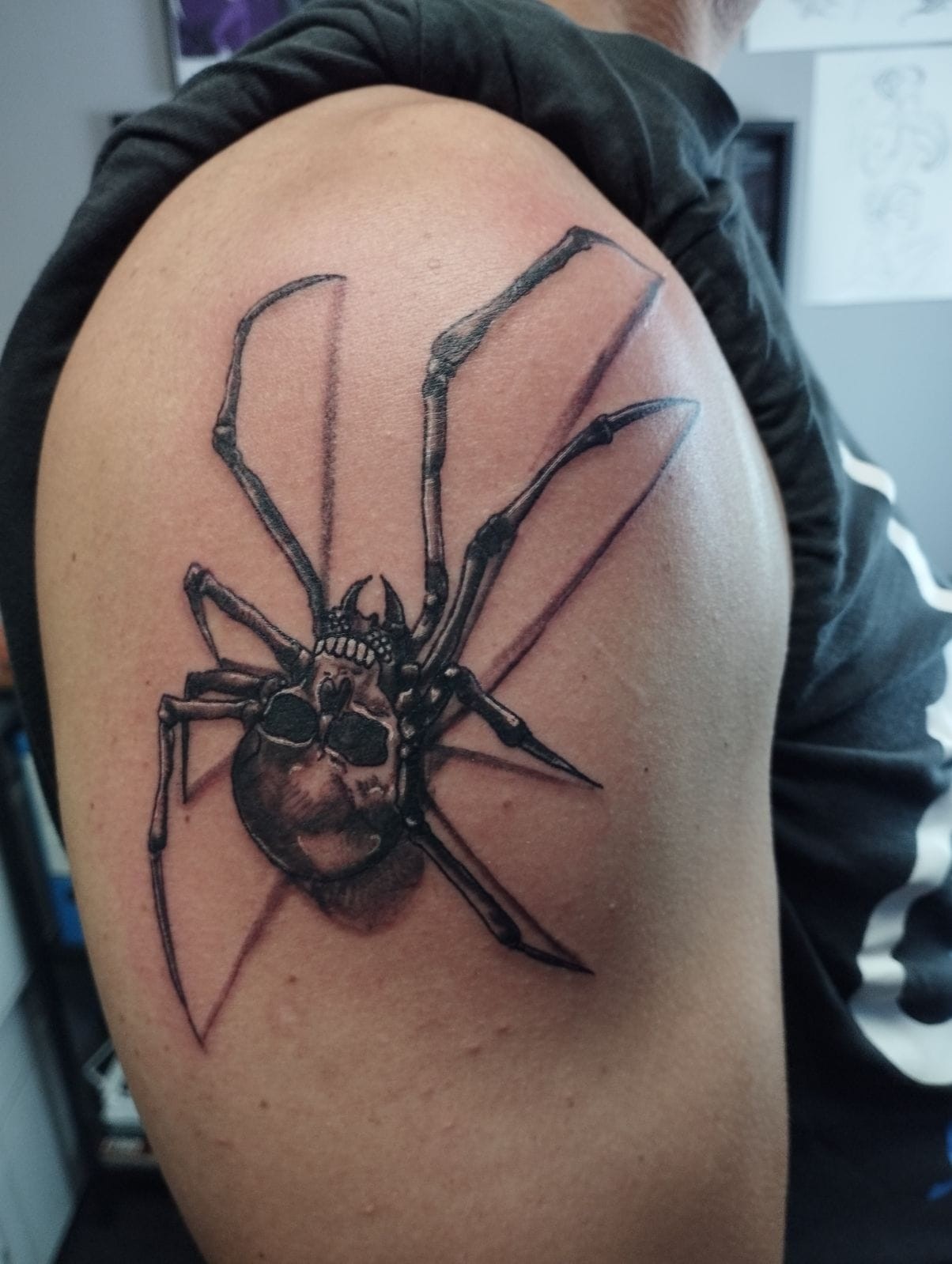 araignée