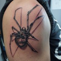 araignée