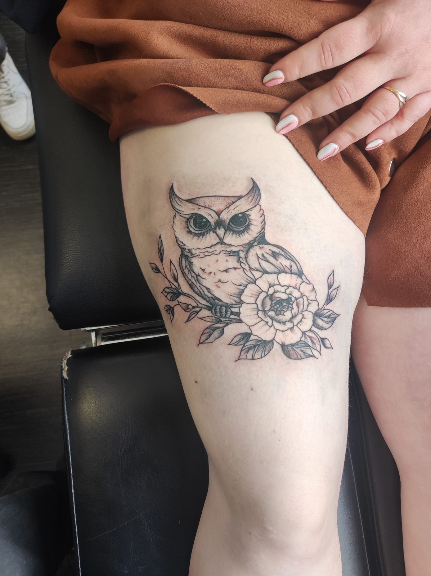 hibou